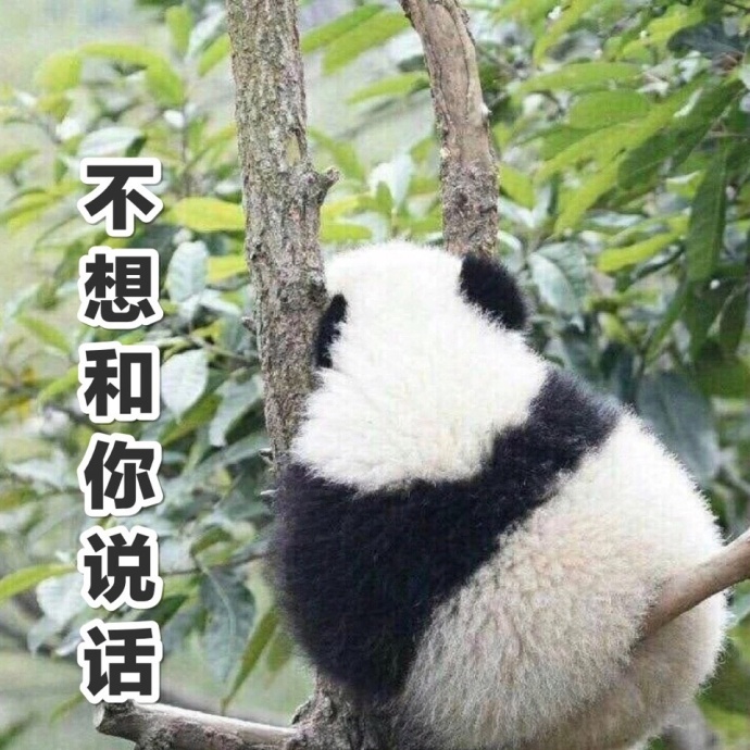 fun来了:心里有很多数 依然过不好这一生 fun来了:心里有很多数 依然过不好这一生图片