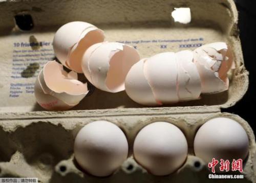 韩检出本土产“毒鸡蛋” 超市停售政府展开调查