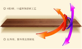 大自然地板,V8工艺,环保油漆技术