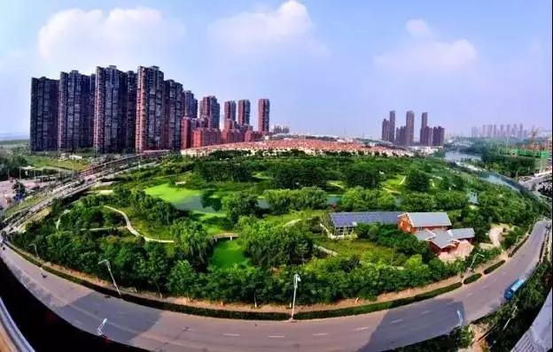 【我们这五年】一份荣誉榜,带你看合肥庐阳卫