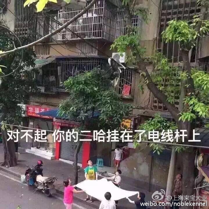 fun来了:你混吃等死别人熬夜工作 所以他猝死了 fun来了:你混吃等死别人熬夜工作 所以他猝死了图片