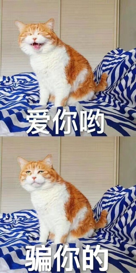 fun来了:请讨厌的人跟我保持距离 最好阴阳两隔 fun来了:请讨厌的人跟我保持距离 最好阴阳两隔图片
