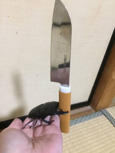 fun来了:钱没有被花掉 只是换了一种方式陪你 fun来了:钱没有被花掉 只是换了一种方式陪你图片