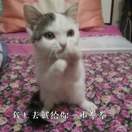 fun来了:老外疯了 中文了得和了不得咋一个意思 fun来了:老外疯了 中文了得和了不得咋一个意思图片