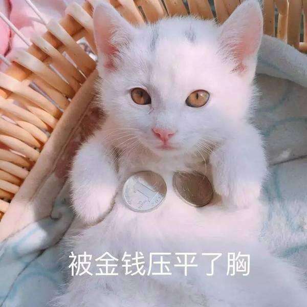 fun来了:每天吃这么多你真的想瘦吗?很享受啊 fun来了:每天吃这么多你真的想瘦吗?很享受啊图片