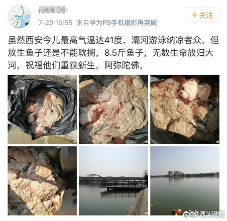 fun来了:每天吃这么多你真的想瘦吗?很享受啊 fun来了:每天吃这么多你真的想瘦吗?很享受啊图片