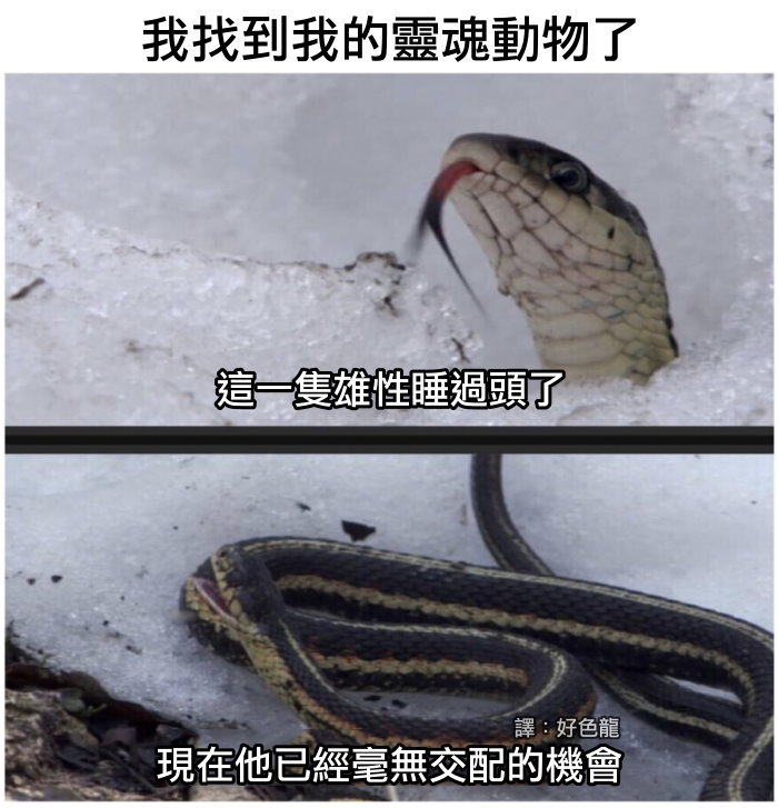 fun来了:为了赚回份子钱 单身狗给自己办30大寿 fun来了:为了赚回份子钱 单身狗给自己办30大寿图片