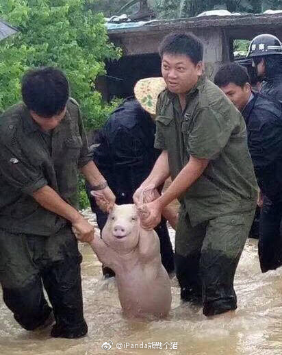 fun来了:低调大佬又添一人|一些品牌的扎心真相 fun来了:低调大佬又添一人|一些品牌的扎心真相图片