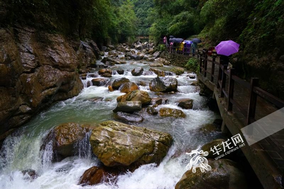 一票游双景【摘要】今年是重庆万盛石林和黑山谷荣膺"国家aaaaa级