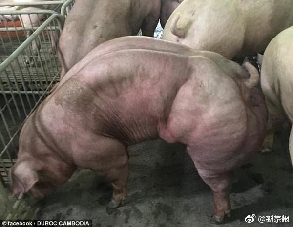 fun来了:忍一时越想越气 退一步越想越亏 fun来了:忍一时越想越气 退一步越想越亏图片
