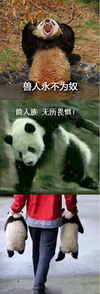 fun来了:低调大佬又添一人|一些品牌的扎心真相 fun来了:低调大佬又添一人|一些品牌的扎心真相图片