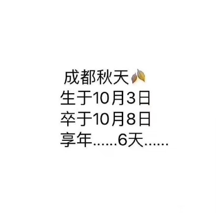 fun来了:低调大佬又添一人|一些品牌的扎心真相 fun来了:低调大佬又添一人|一些品牌的扎心真相图片