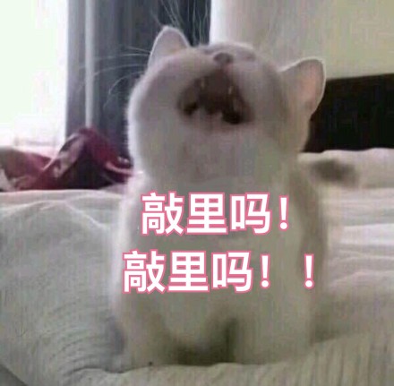 fun来了:逃犯高唱不要怕压惊 被警察一波带走 fun来了:逃犯高唱不要怕压惊 被警察一波带走图片