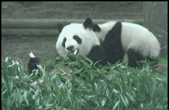 fun来了:熬夜令我变丑?早睡我也没变好看啊 fun来了:熬夜令我变丑?早睡我也没变好看啊图片