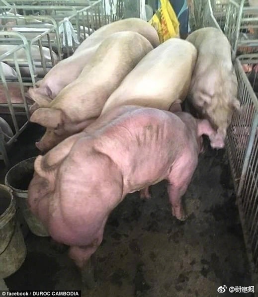 fun来了:忍一时越想越气 退一步越想越亏 fun来了:忍一时越想越气 退一步越想越亏图片