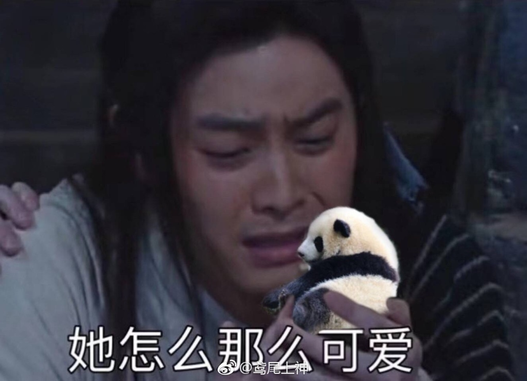 fun来了:逃犯高唱不要怕压惊 被警察一波带走 fun来了:逃犯高唱不要怕压惊 被警察一波带走图片