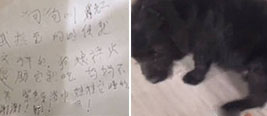 狗狗被弃河边主人留条：妈妈不让养 别杀它好吗