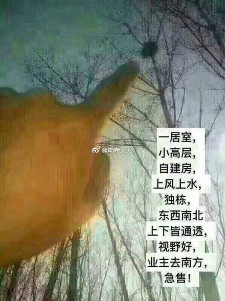 fun来了:当代青年就像蒲公英 风一吹头发就没了 fun来了:当代青年就像蒲公英 风一吹头发就没了图片