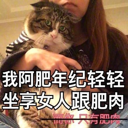 fun来了:熬夜那么爽怎么能算熬 上班才该叫熬班 fun来了:熬夜那么爽怎么能算熬 上班才该叫熬班图片