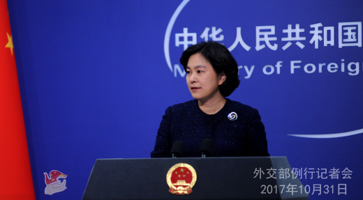 媒体报道称中国将引雅鲁藏布江水至新疆 外交部回应