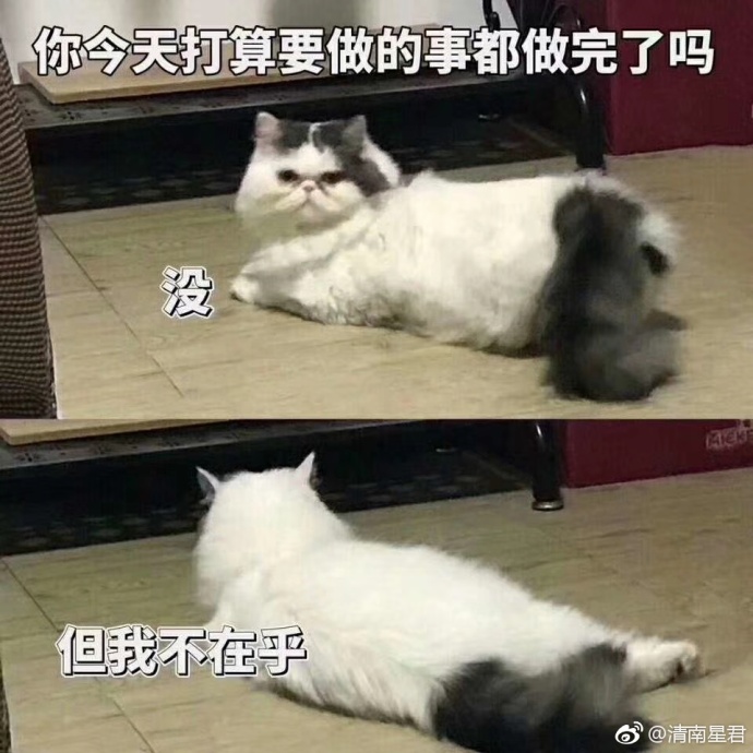 fun来了:吃得苦中苦还是普通人|她死于商业互吹 fun来了:吃得苦中苦还是普通人|她死于商业互吹图片