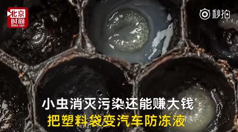 fun来了:武林不准私建门派?我金拱门第一个不服 fun来了:武林不准私建门派?我金拱门第一个不服图片