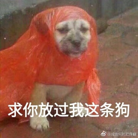 fun来了:吃得苦中苦还是普通人|她死于商业互吹 fun来了:吃得苦中苦还是普通人|她死于商业互吹图片