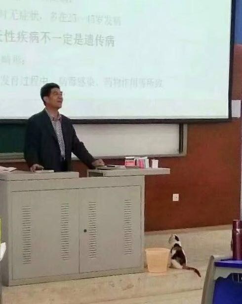 fun来了:维吾尔族的秘密是啥|您的快递正在健身 fun来了:维吾尔族的秘密是啥|您的快递正在健身图片