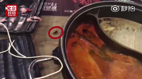 fun来了:火锅才是最养生的食物|让座引发的血案 fun来了:火锅才是最养生的食物|让座引发的血案图片