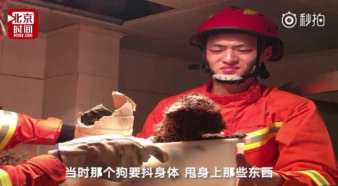 fun来了:维吾尔族的秘密是啥|您的快递正在健身 fun来了:维吾尔族的秘密是啥|您的快递正在健身图片