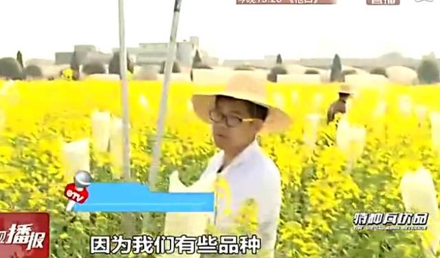 fun来了:夫妻相是接吻造成的 证明丑是会传染的 fun来了:夫妻相是接吻造成的 证明丑是会传染的图片