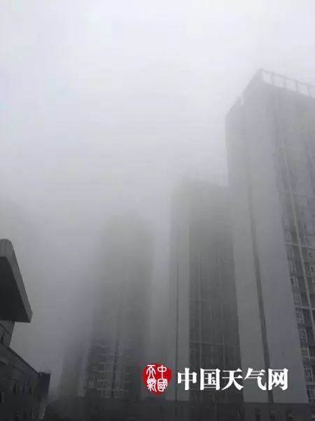 雾锁山城 能见度不足百米