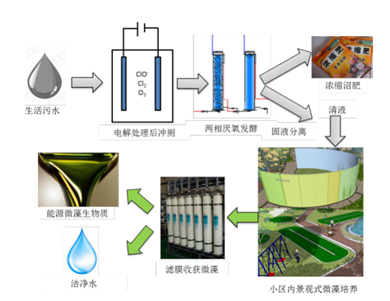 上海微生物发酵技术,上海微生物发酵技术有限公司
