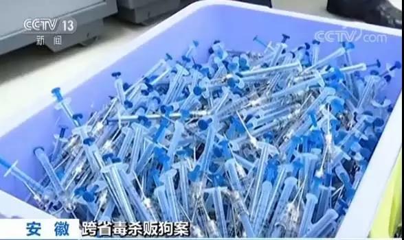 毒狗针大案:1年向17省售20余万支 孕妇中针一尸两命