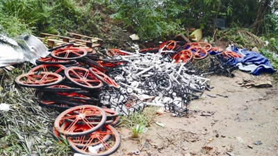 成都：41辆共享单车被切割成段后抛“尸”荒野