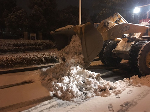 以雪为令迎雪而行环雅丽都万金体育下载app公司全力做好扫雪铲冰工作