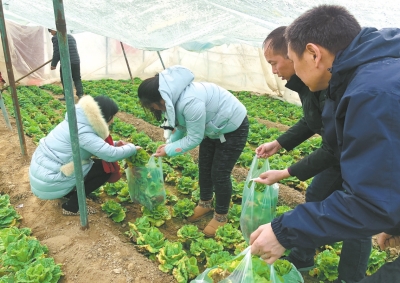 保障春节期间舌尖安全 全省联动监测农产品质量