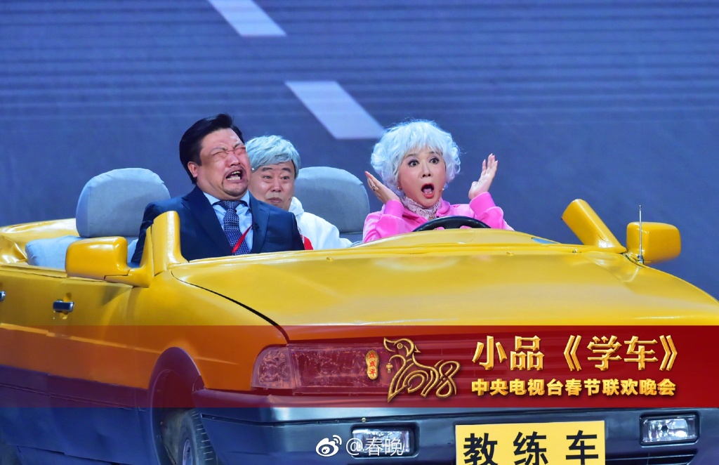 蔡明,潘长江等表演小品《学车》.