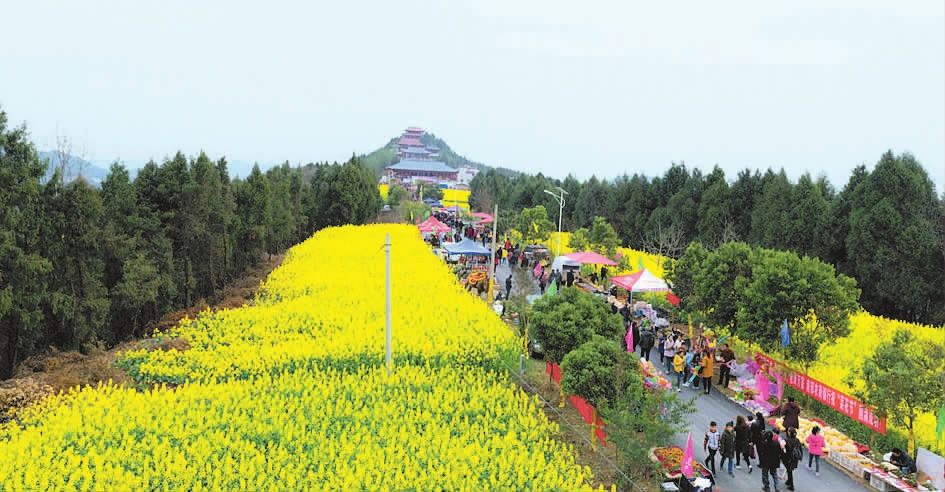 阆中市思依镇多少人口_阆中市双龙镇