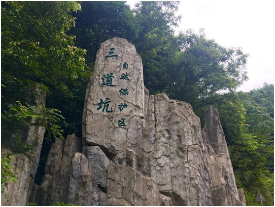 朗溪游玩攻略,朗溪游玩攻略一日游