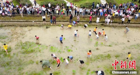浑水摸鱼、彩虹跑…分宜欢乐乡村闹“五一”