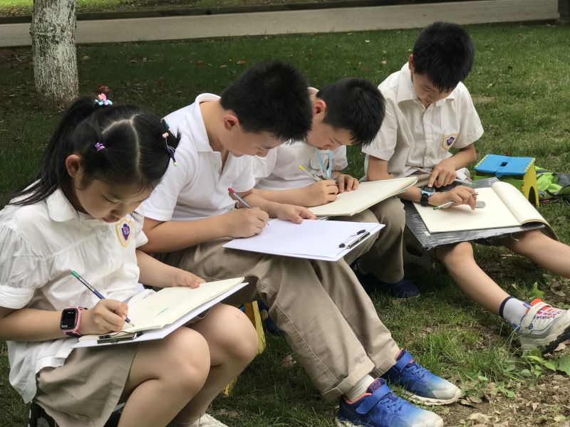 武汉300名小学生触摸大树小草 感受自然力量