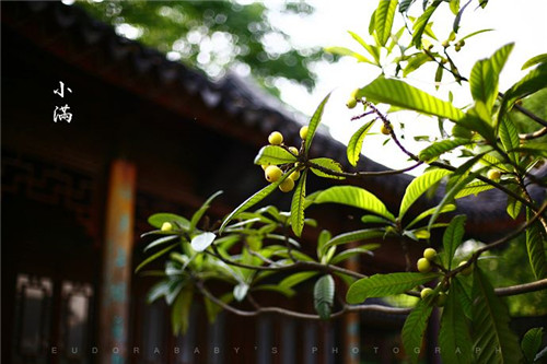 雨雨雨换来凉爽一周，划算吧？本周江苏有两轮降水