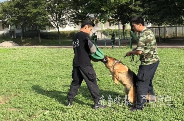 对他们来说,在警犬训练基地的生活虽然有些枯燥,但是跟自己喜欢的警犬