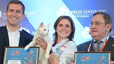 世界杯女子图鉴：售货员到绝色模特