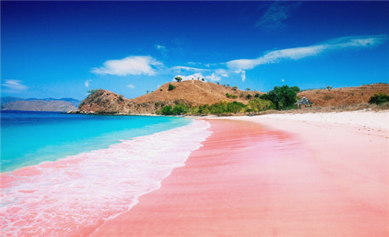 来这看抖音同款粉色沙滩
