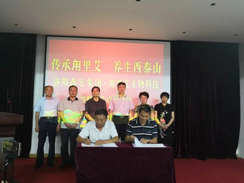 醉美汝阳：探索全域旅游新路子 打造“西泰山+甪里艾”康养游模式