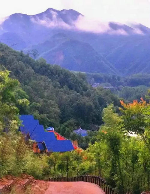 5a嵩县给孩子们一个全方位的快乐假期 高速免费,你们还没出发吗?