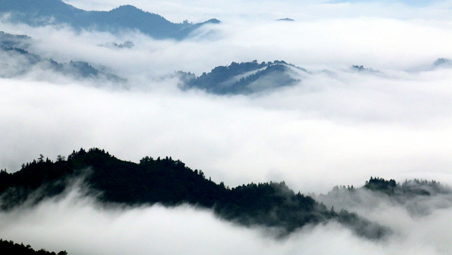 江西遂川:云雾缭绕山间(组图)