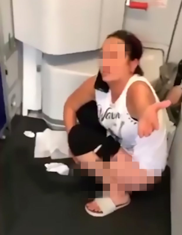 飞机厕所暂时停用 女子当众在地板上小解
